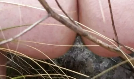 Sophia Grace benutzt einen Vibrator an ihrem Kitzler deutsche reife geile frauen