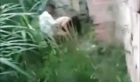 Haarige Muschi reife geile titten wird gefickt