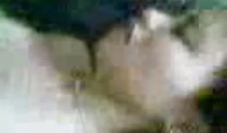 Rotes pornovideos mit reifen frauen Licht des Phoenix-Paares