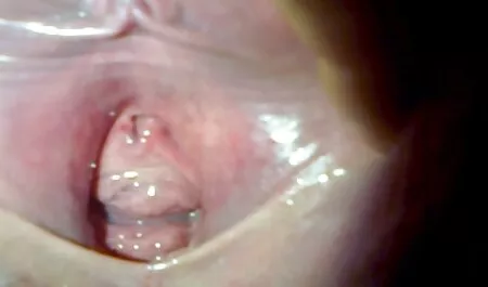 Geile Hottie mag einen großen harten Schwanz geile reife damen